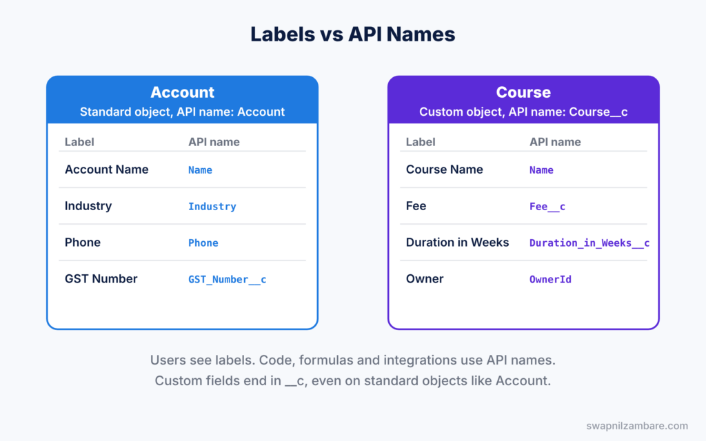 Standard vs Custom Objects diagram showing labels and API names on Account and Course